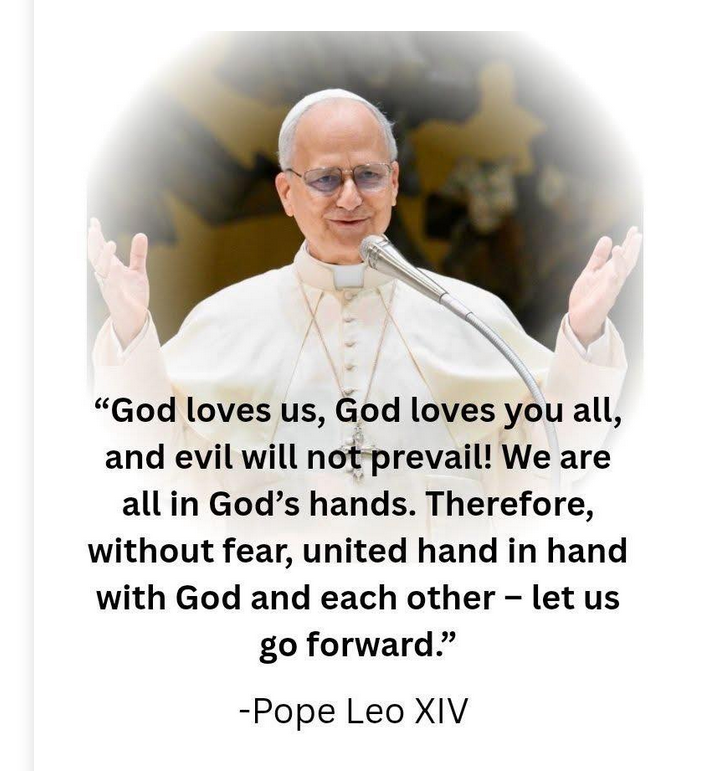 Quote from Pope Leo XIV